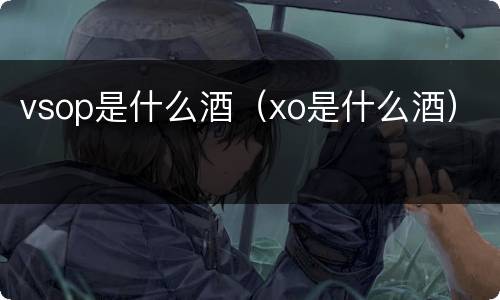 vsop是什么酒（xo是什么酒）