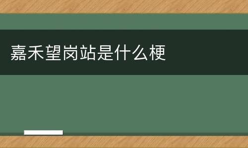 嘉禾望岗站是什么梗