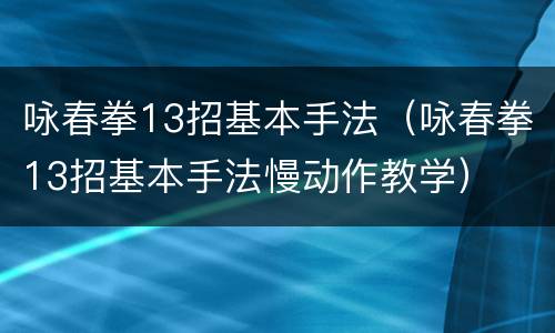 咏春拳13招基本手法（咏春拳13招基本手法慢动作教学）