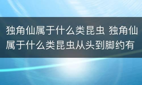 独角仙属于什么类昆虫 独角仙属于什么类昆虫从头到脚约有两寸甲壳多为深色