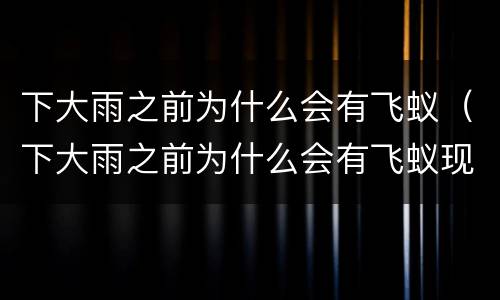 下大雨之前为什么会有飞蚁（下大雨之前为什么会有飞蚁现象）