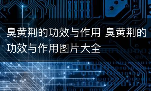 臭黄荆的功效与作用 臭黄荆的功效与作用图片大全