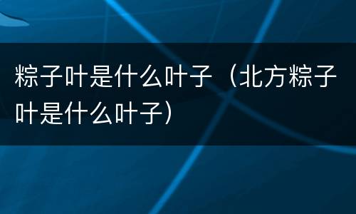 粽子叶是什么叶子（北方粽子叶是什么叶子）