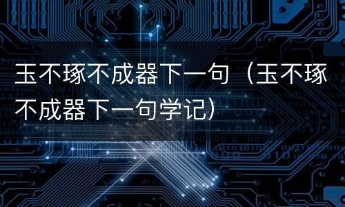 玉不琢不成器下一句（玉不琢不成器下一句学记）