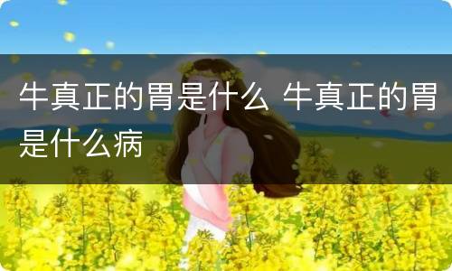 牛真正的胃是什么 牛真正的胃是什么病