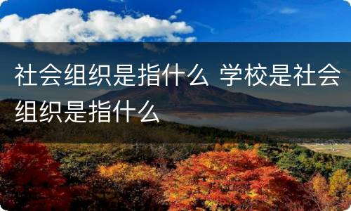 社会组织是指什么 学校是社会组织是指什么