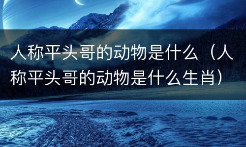人称平头哥的动物是什么（人称平头哥的动物是什么生肖）