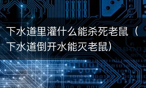 下水道里灌什么能杀死老鼠（下水道倒开水能灭老鼠）