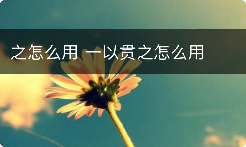 之怎么用 一以贯之怎么用