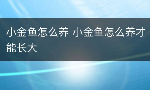 小金鱼怎么养 小金鱼怎么养才能长大