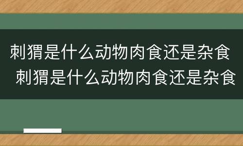 刺猬是什么动物肉食还是杂食 刺猬是什么动物肉食还是杂食呢