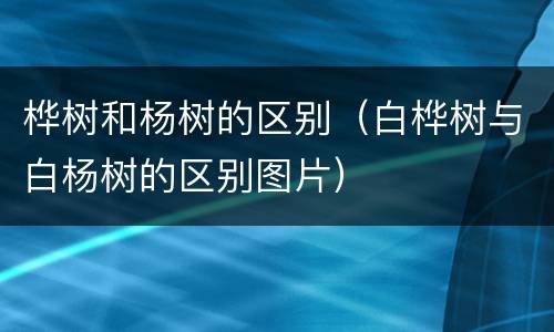桦树和杨树的区别（白桦树与白杨树的区别图片）