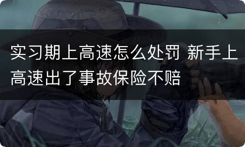 实习期上高速怎么处罚 新手上高速出了事故保险不赔