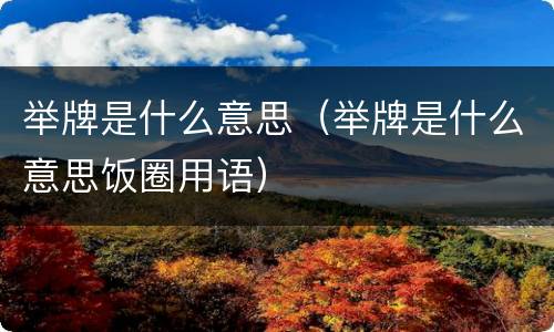 举牌是什么意思（举牌是什么意思饭圈用语）