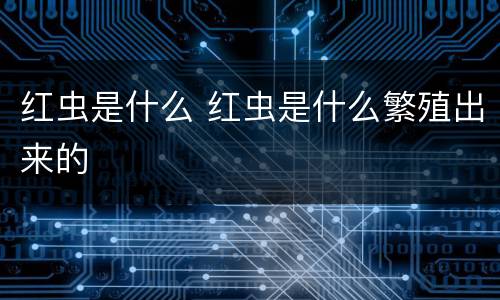 红虫是什么 红虫是什么繁殖出来的