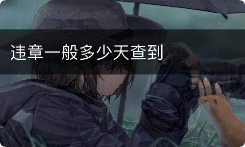 违章一般多少天查到