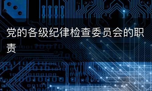党的各级纪律检查委员会的职责