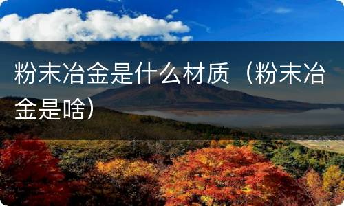 粉末冶金是什么材质（粉末冶金是啥）