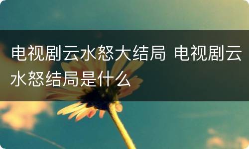 电视剧云水怒大结局 电视剧云水怒结局是什么