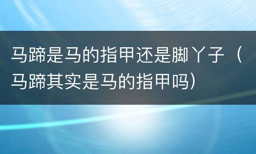 马蹄是马的指甲还是脚丫子（马蹄其实是马的指甲吗）