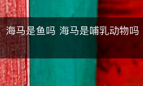 海马是鱼吗 海马是哺乳动物吗