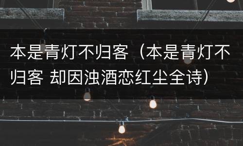 本是青灯不归客（本是青灯不归客 却因浊酒恋红尘全诗）