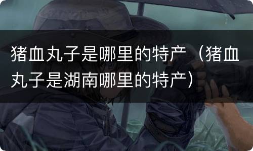 猪血丸子是哪里的特产（猪血丸子是湖南哪里的特产）