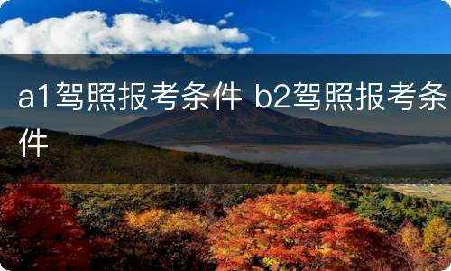 a1驾照报考条件 b2驾照报考条件