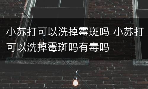 小苏打可以洗掉霉斑吗 小苏打可以洗掉霉斑吗有毒吗