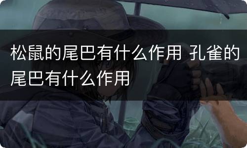 松鼠的尾巴有什么作用 孔雀的尾巴有什么作用