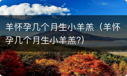 羊怀孕几个月生小羊羔（羊怀孕几个月生小羊羔?）