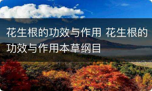 花生根的功效与作用 花生根的功效与作用本草纲目