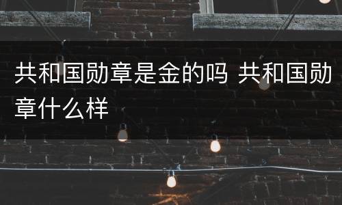 共和国勋章是金的吗 共和国勋章什么样