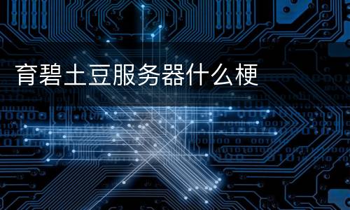 育碧土豆服务器什么梗