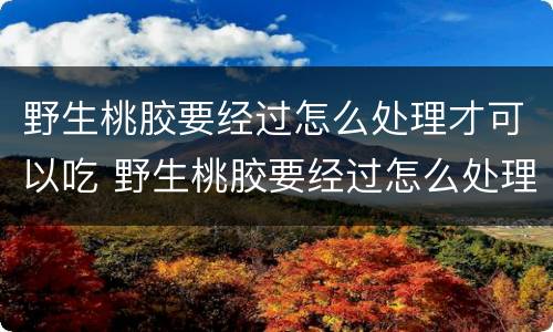 野生桃胶要经过怎么处理才可以吃 野生桃胶要经过怎么处理才可以吃了
