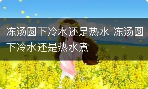 冻汤圆下冷水还是热水 冻汤圆下冷水还是热水煮