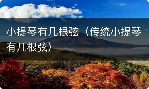小提琴有几根弦（传统小提琴有几根弦）