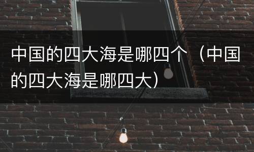 中国的四大海是哪四个（中国的四大海是哪四大）
