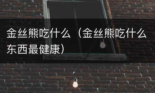 金丝熊吃什么（金丝熊吃什么东西最健康）