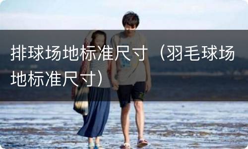 排球场地标准尺寸（羽毛球场地标准尺寸）