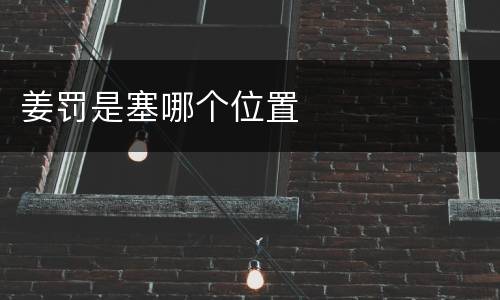 姜罚是塞哪个位置