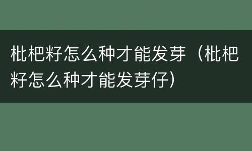 枇杷籽怎么种才能发芽（枇杷籽怎么种才能发芽仔）