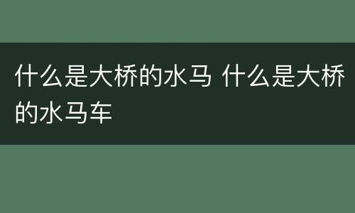 什么是大桥的水马 什么是大桥的水马车