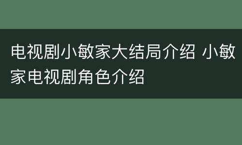 电视剧小敏家大结局介绍 小敏家电视剧角色介绍