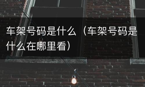 车架号码是什么（车架号码是什么在哪里看）