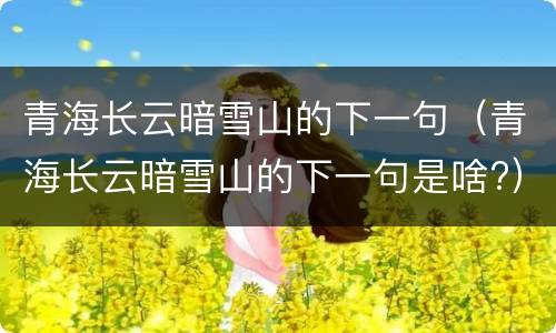 青海长云暗雪山的下一句（青海长云暗雪山的下一句是啥?）