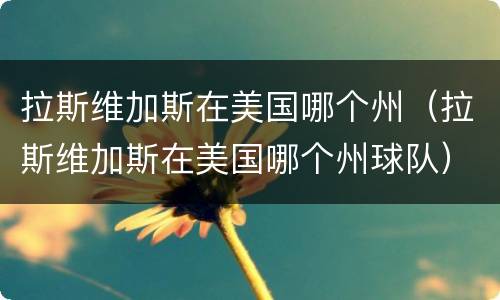 拉斯维加斯在美国哪个州（拉斯维加斯在美国哪个州球队）