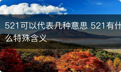 521可以代表几种意思 521有什么特殊含义