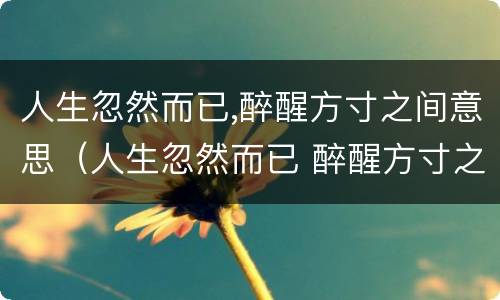 人生忽然而已,醉醒方寸之间意思（人生忽然而已 醉醒方寸之间什么意思）