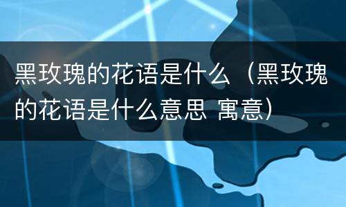 黑玫瑰的花语是什么（黑玫瑰的花语是什么意思 寓意）